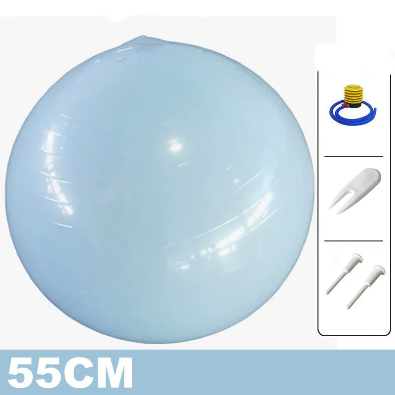 55Cm Yoga Ball Anti-Burst Exercise Fitness Equipment for Home Gym Pilates Workout Balance Training Weight Loss Equipment