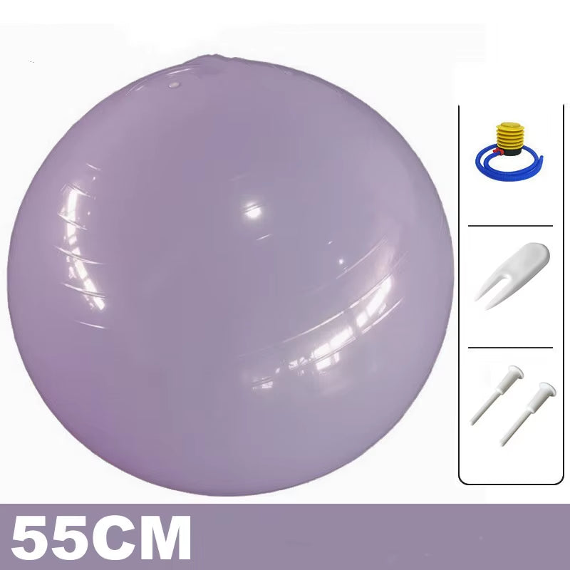 55Cm Yoga Ball Anti-Burst Exercise Fitness Equipment for Home Gym Pilates Workout Balance Training Weight Loss Equipment
